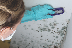  Hoe zich te ontdoen van schimmel op de muren in het appartement