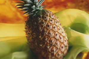  Ananas kweken