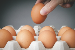  How to check egg freshness