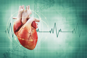  Wie lässt sich der Puls schnell reduzieren?