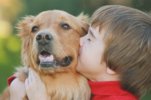  Bagaimana untuk memujuk ibu bapa membeli anjing