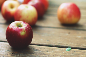  Appels invriezen voor de winter