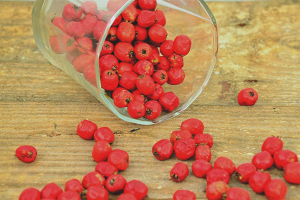  How to dry hawthorn