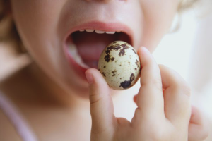  Hoe kwarteleitjes voor een kind koken