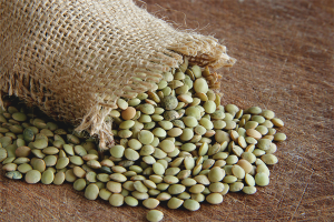  The benefits and harm of lentils