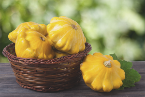  The benefits and harms of the squash