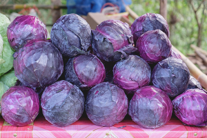  The benefits and harm of red cabbage