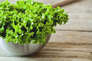  The benefits and harms of leaf lettuce