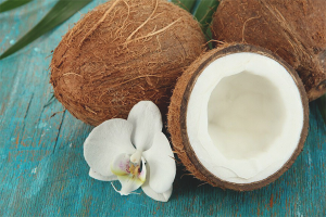  The benefits and harm of coconut