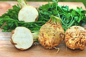  The benefits and harm of celery root