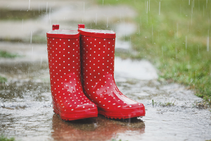  Wie wählt man Gummistiefel für ein Kind aus?