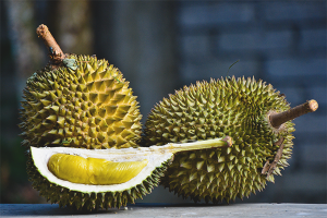  Der Nutzen und Schaden von Durian