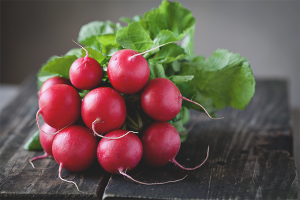  The benefits and harm of radishes