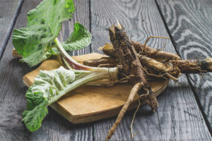  Healing properties and contraindications of burdock root