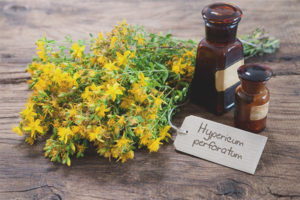  خصائص الشفاء وموانع من Hypericum