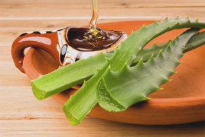  Aloe mit Hustenhonig