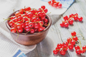  Red currant during pregnancy