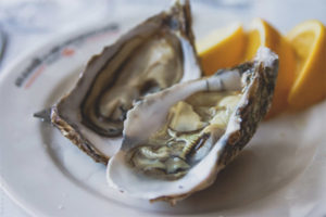  De voordelen en schade van oesters