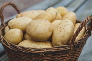  Borstvoeding aardappelen