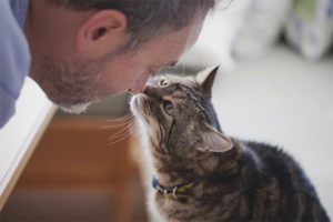  Hoe te begrijpen dat de kat van je houdt