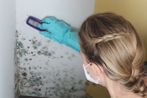  How to remove mold from the walls in the apartment